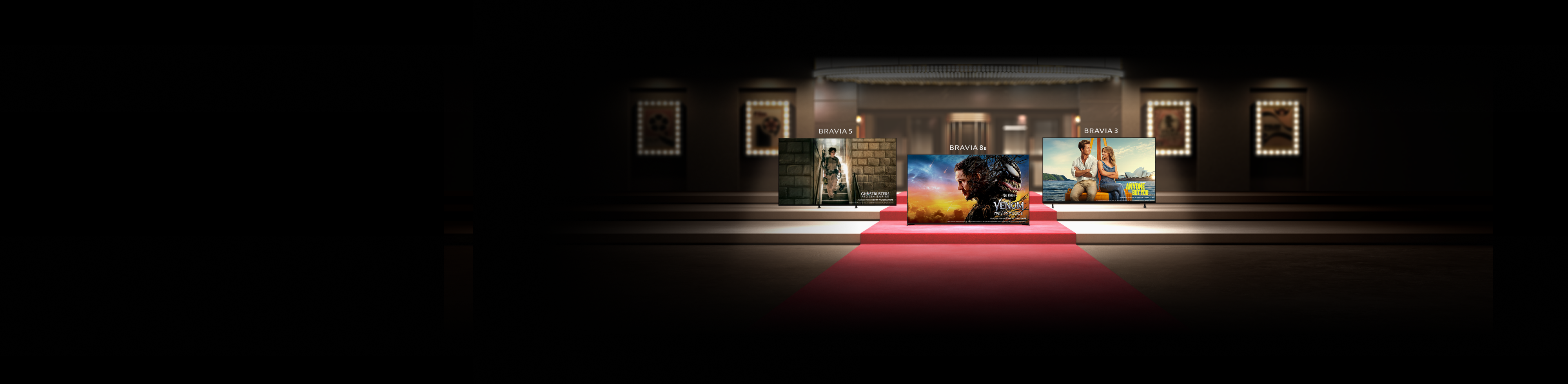 BRAVIA 2025 BRAVIA 2025