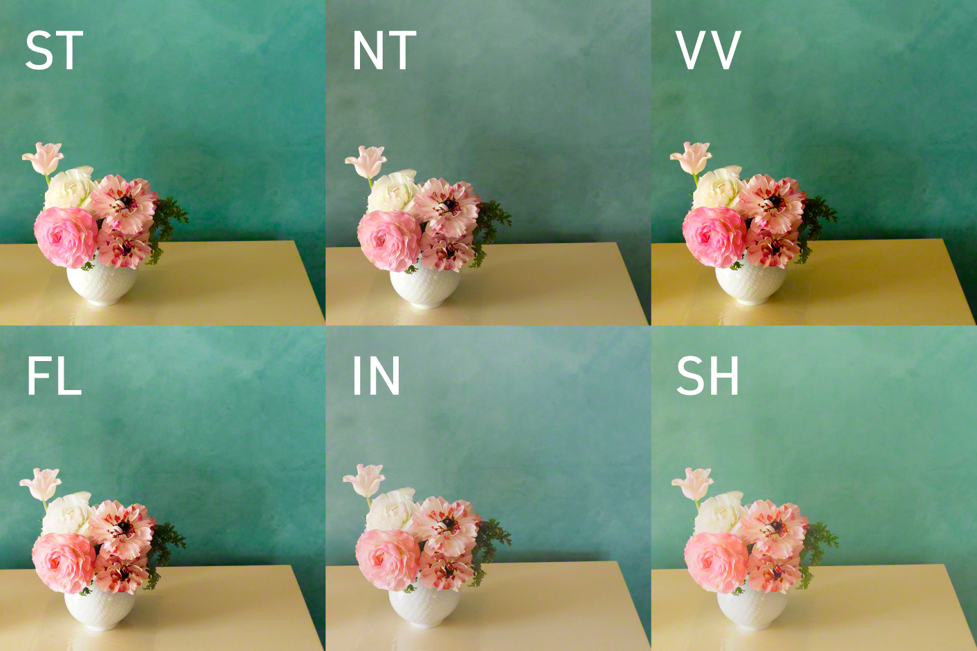 Sex bilder av rosa blommor i en vit vas på ett bord mot en grön vägg